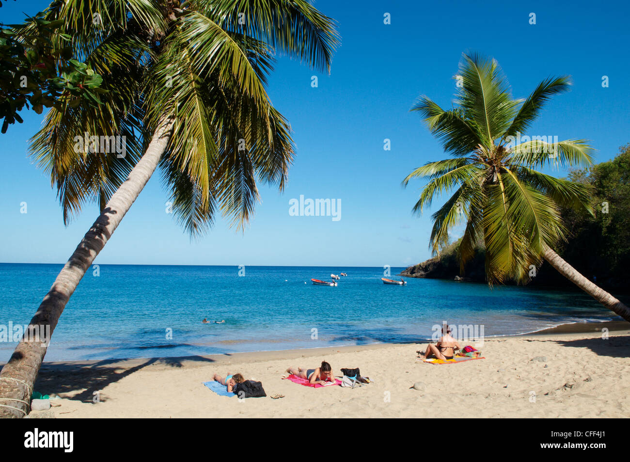 Anse Dufour beach, Martinica, French West Indies, dei Caraibi e America centrale Foto Stock