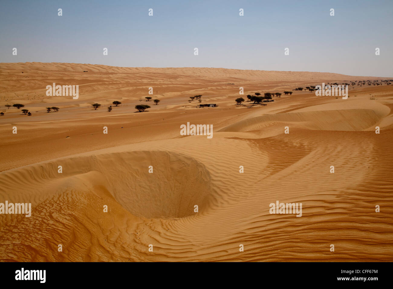 Wahiba Sands desert, Bidiya, Ash Sharqiyah, Oman, Penisola arabica Foto Stock