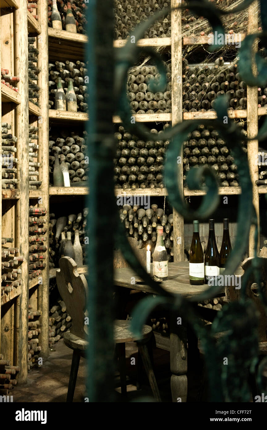 Polverose bottiglie di vino presso la cantina San Paolo, Eppan an der Weinstrasse, Alto Adige, Alto Adige, Italia, Europa Foto Stock