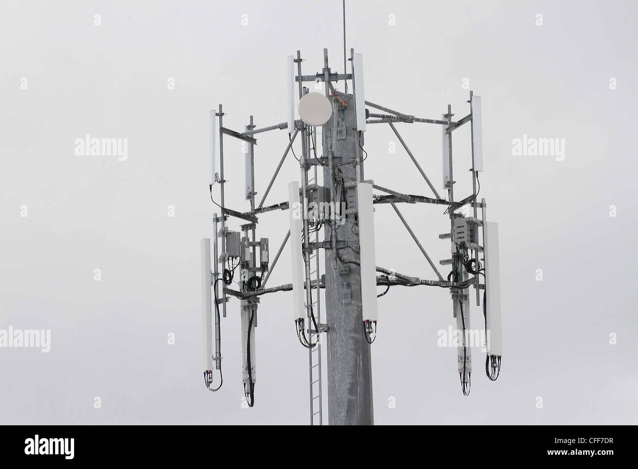 Accesso wireless telecommunications tower Foto Stock