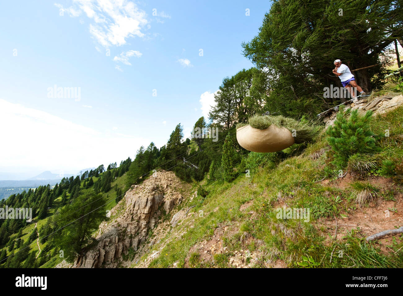 Le persone al raccolto di fieno, Val d'Ega, Alto Adige, Alto Adige, Italia, Europa Foto Stock