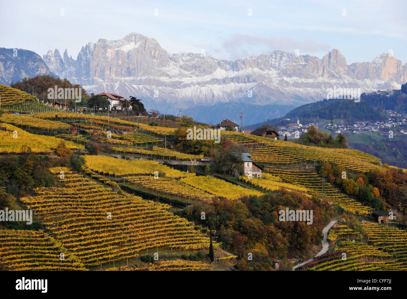 Le aziende agricole della regione vinicola, Rosengarten in background Alto Adige, Alto Adige, Italia Foto Stock