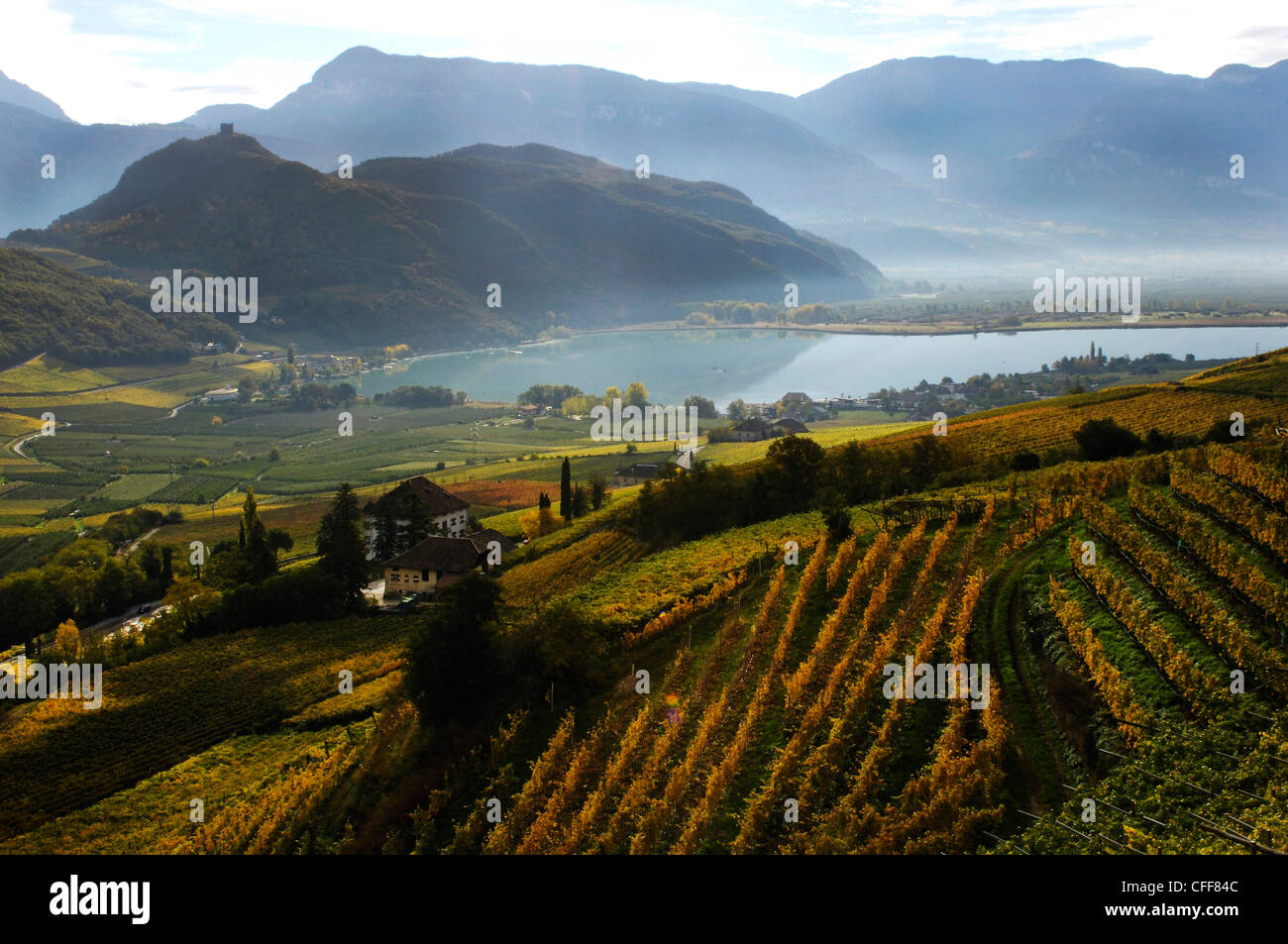 Angolo di Alta Vista del vigneto al lago di Caldaro, Kaltern an der Weinstrasse, Sud Tirolo, Alto Adige, Italia, Europa Foto Stock