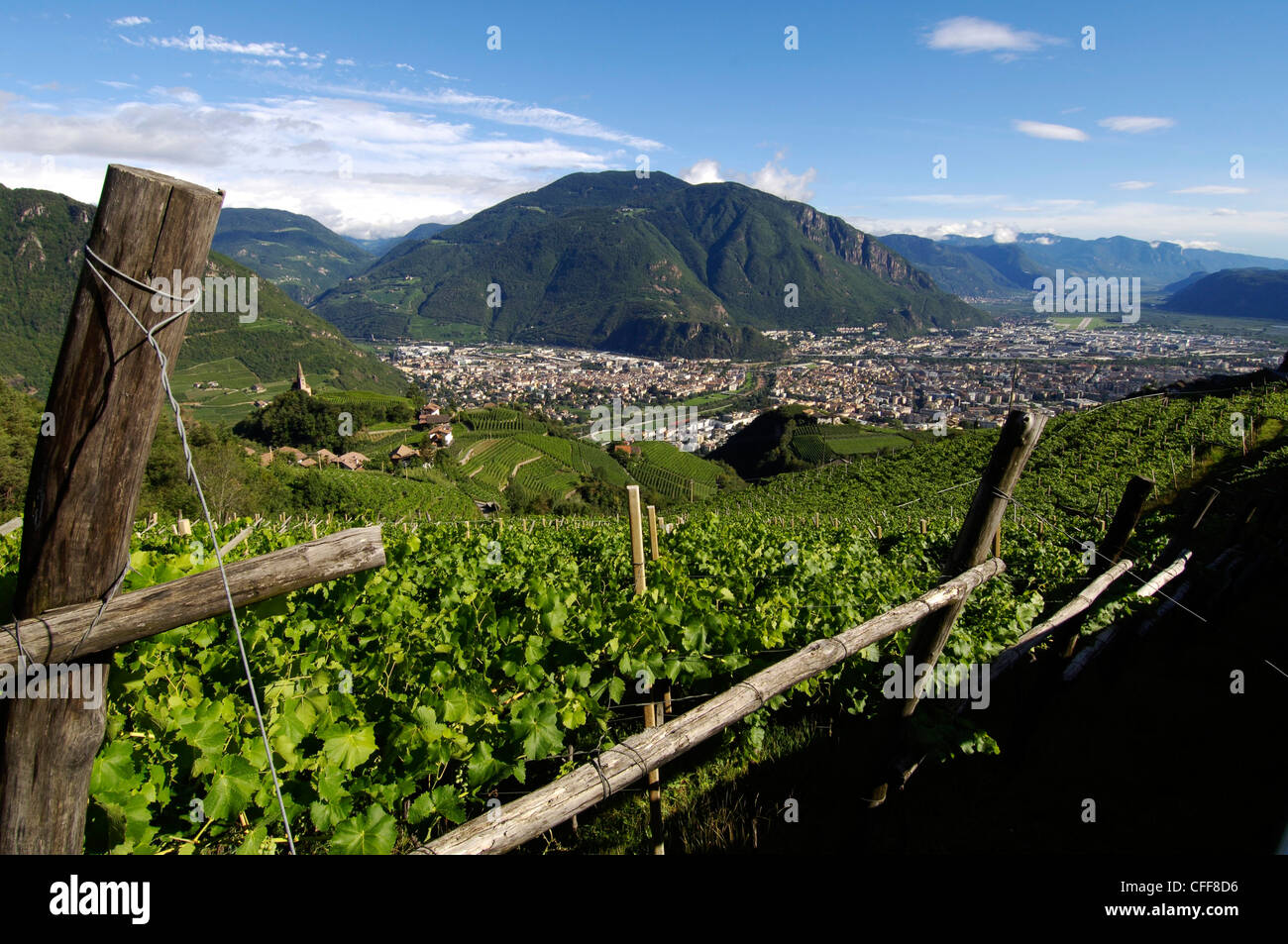 Vista sui vigneti sulla città di Bolzano, Alto Adige, Alto Adige, Italia, Europa Foto Stock
