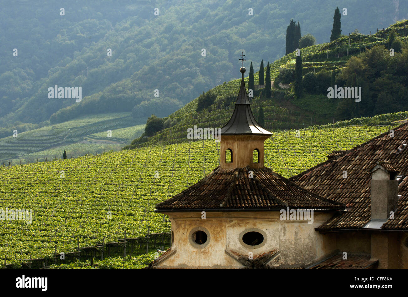Edificio di fronte della vigna, Kaltern an der Weinstrasse, Sud Tirolo, Alto Adige, Italia, Europa Foto Stock