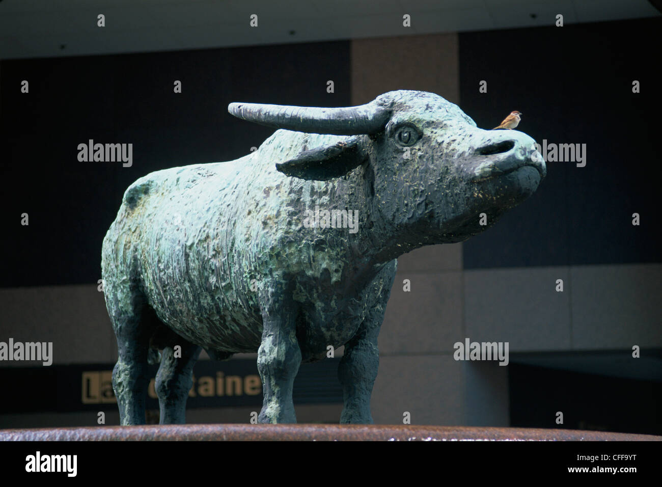 Cina, Hong Kong, centrale, Exchange Square, Buffalo della statua di Dame Elisabeth Frink Foto Stock