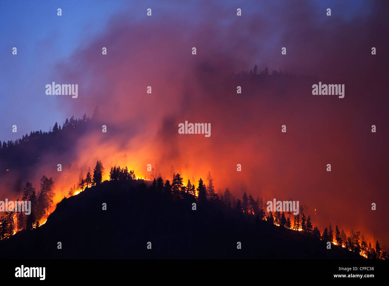 Un forrest fuoco sul fianco di una montagna in Montana. Foto Stock