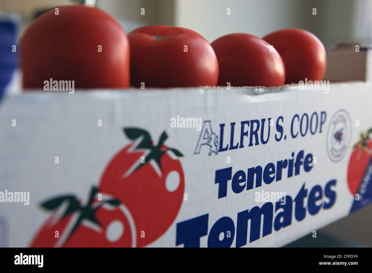 Scatola di pomodori da Tenerife in Spagna in vendita in Scozia Foto Stock
