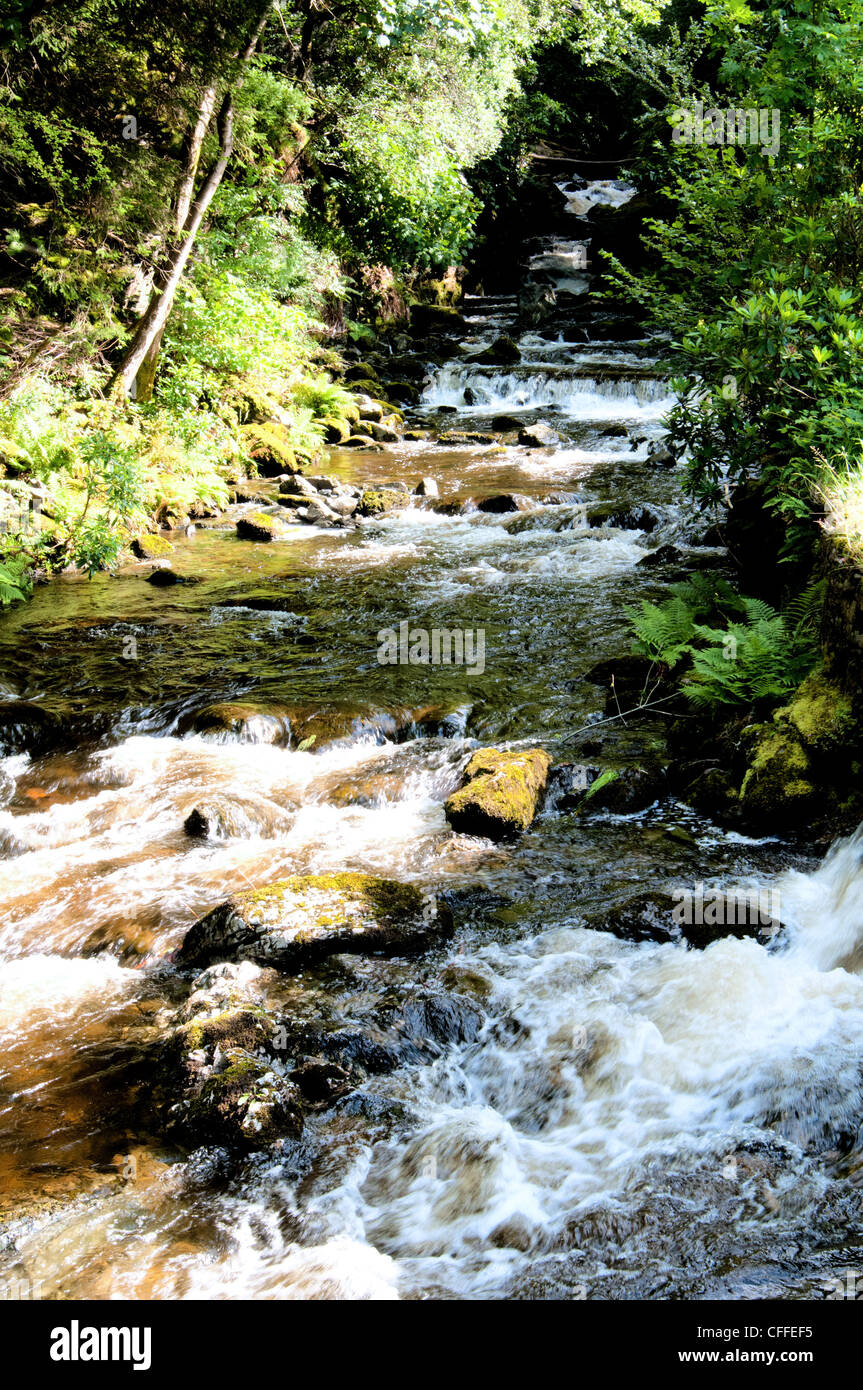 Lake District babling brook Foto Stock