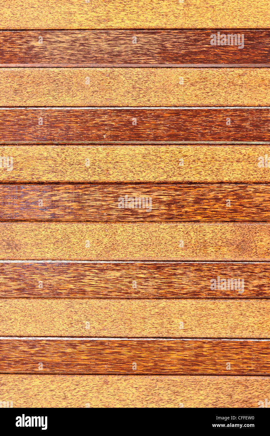 Palmyra Palm parete in legno Foto Stock