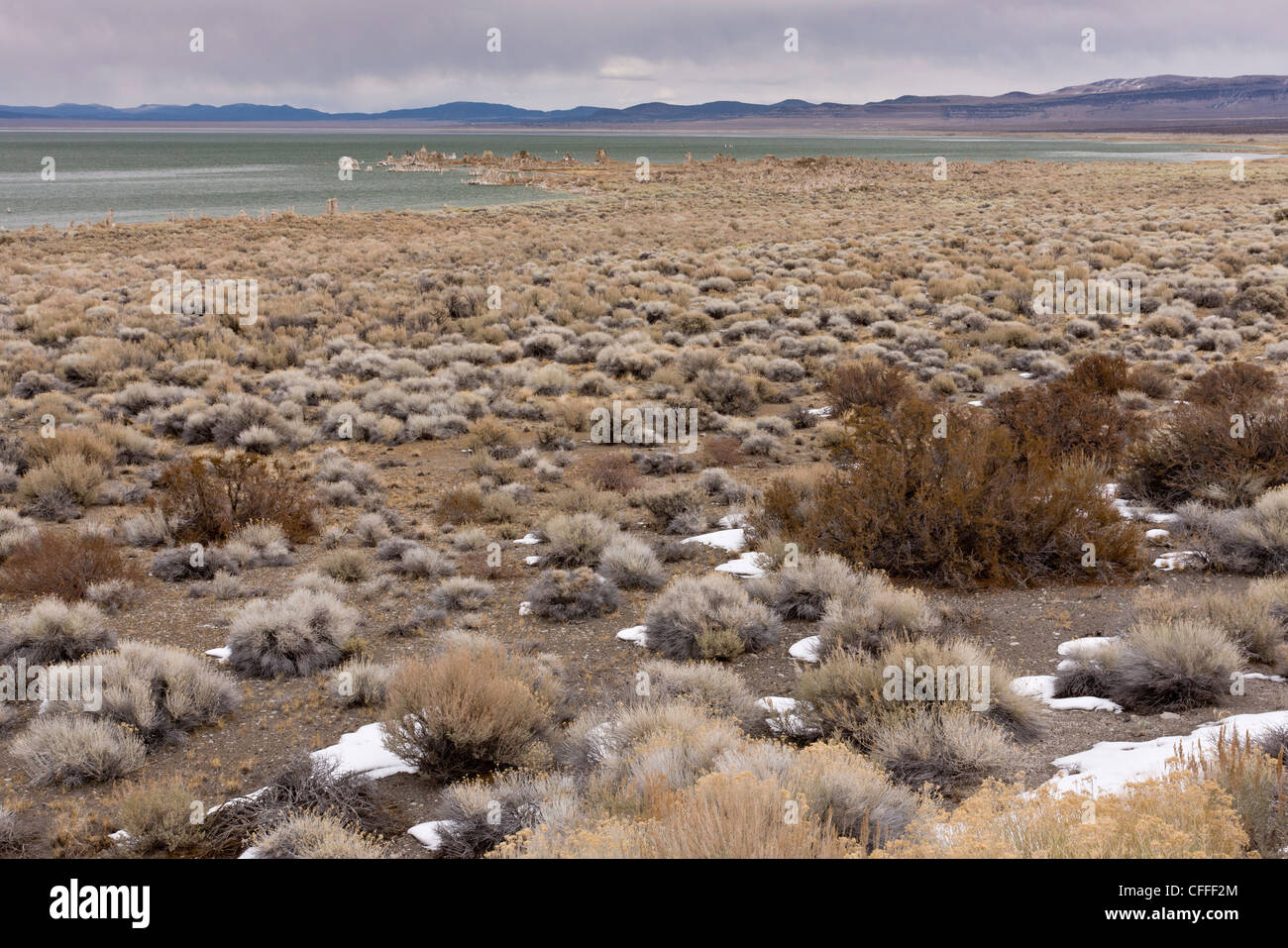 Deserto Chaparral intorno al lago Mono, Lee Vining, in inverno; CALIFORNIA, STATI UNITI D'AMERICA Foto Stock