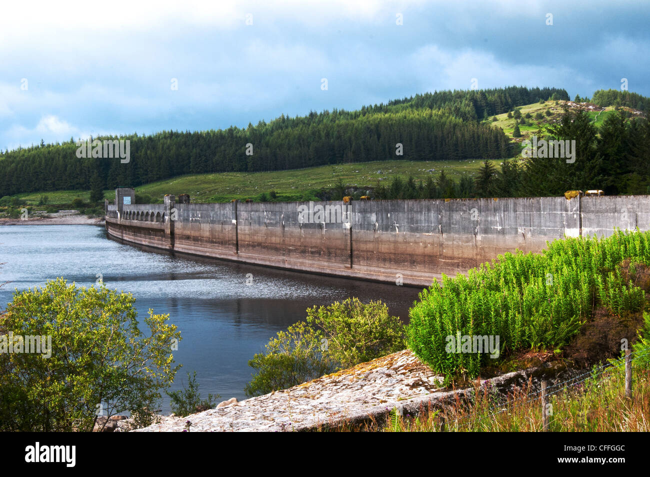 Dumfries and Galloway scotland clatteringshaws dam galloway Forest park Foto Stock