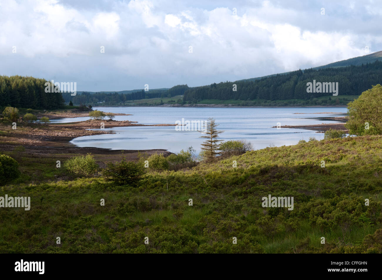 Dumfries and Galloway scotland clatteringshaws lago galloway Forest park Foto Stock