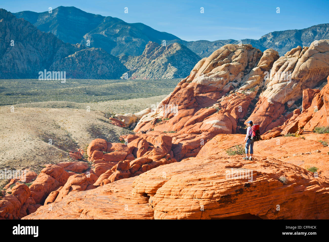 Un escursionista in colline di Calico, il Red Rock Canyon National Conservation Area, Nevada, Stati Uniti d'America. Foto Stock