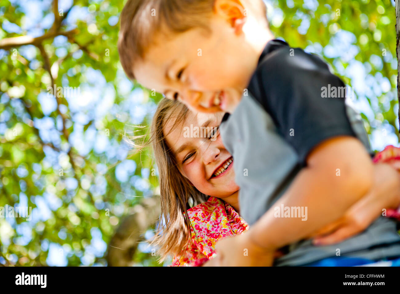 Un ragazzo e una ragazza di arrampicarsi su un albero in Garden City, Utah. Foto Stock