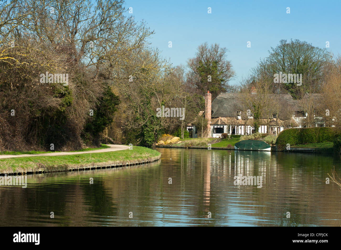 Un pittoresco cottage con il tetto di paglia a Fen Ditton, Cambridgeshire, Inghilterra. Foto Stock