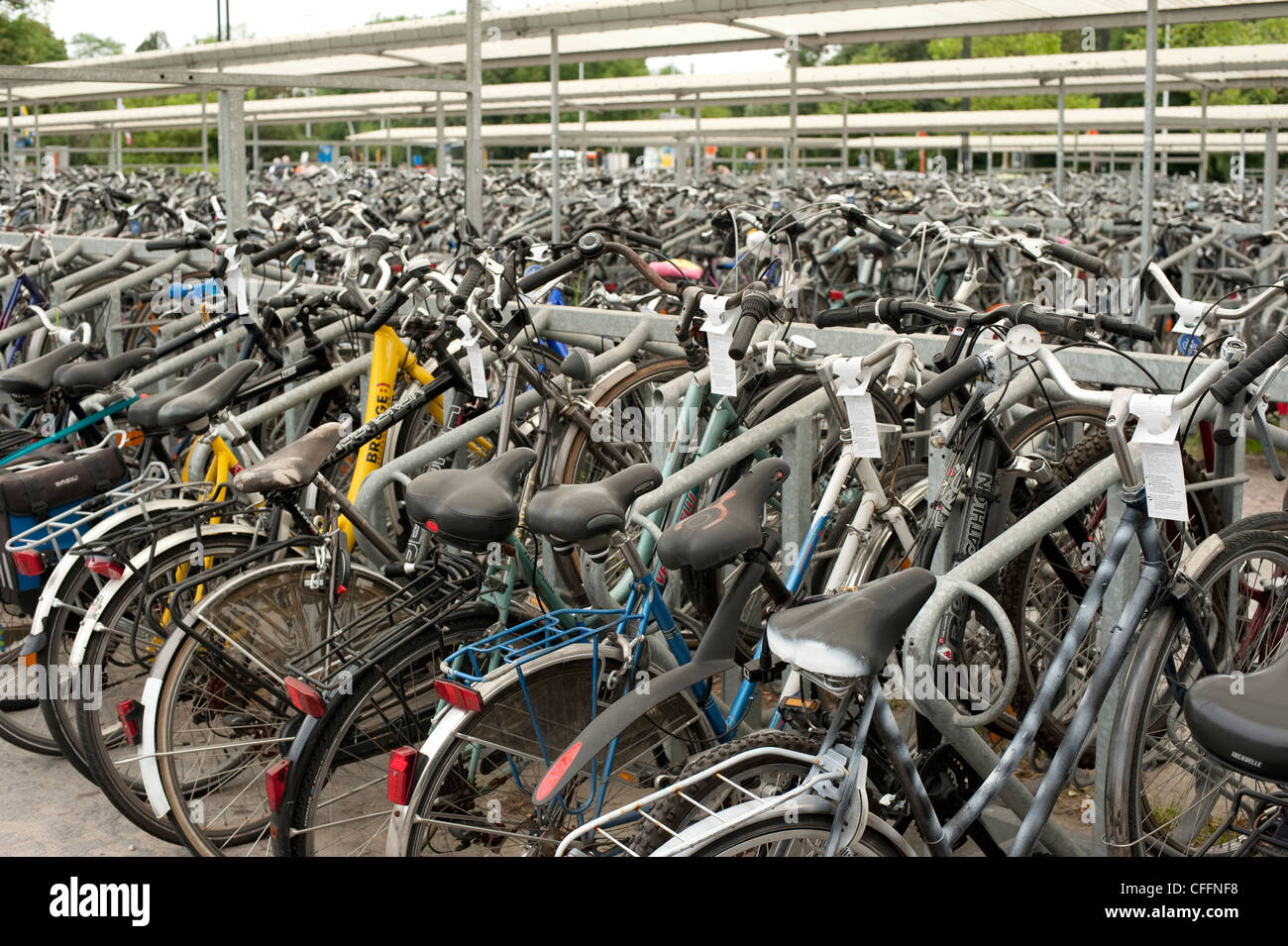 Centinaia di biciclette Bruge Brugge Belgio Europa UE Foto Stock