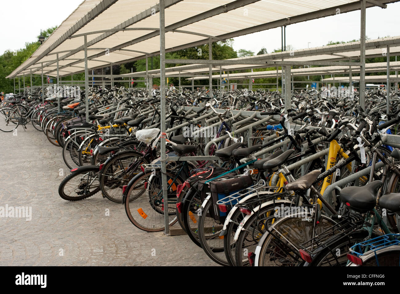 Migliaia di biciclette Bruge Brugge Belgio Foto Stock