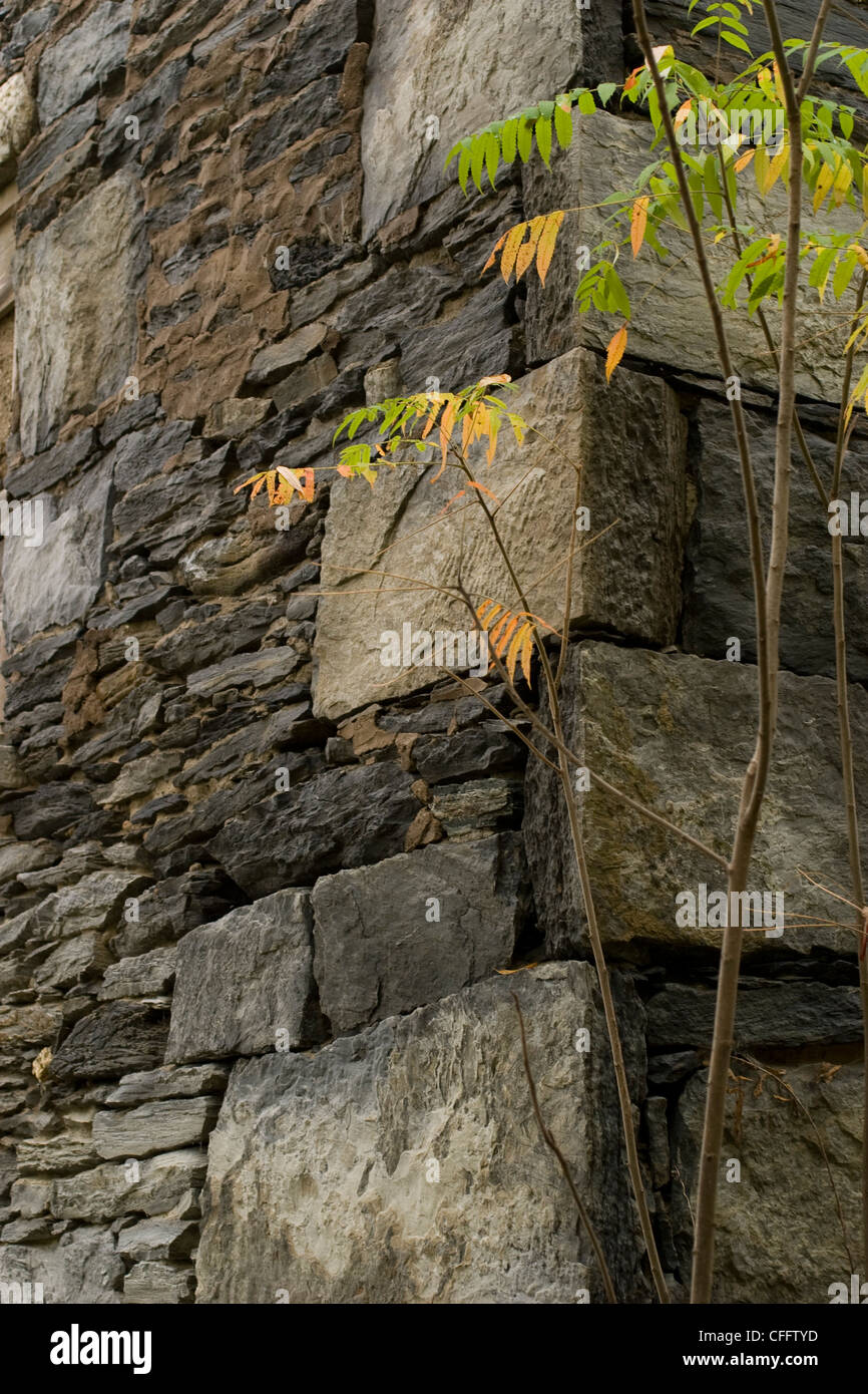 Bellissimo muro di pietra da un edificio in rovina sulla proprietà del monte Libano Shaker villaggio nel nuovo Libano New York. Foto Stock