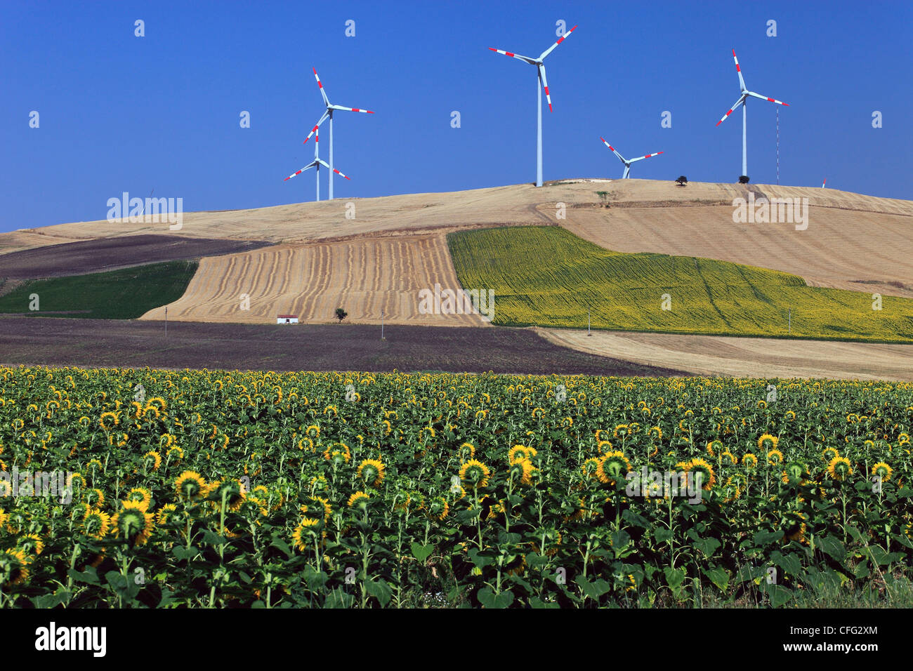 L'Italia, Puglia, Troia, campagna e turbine di potenza Foto Stock