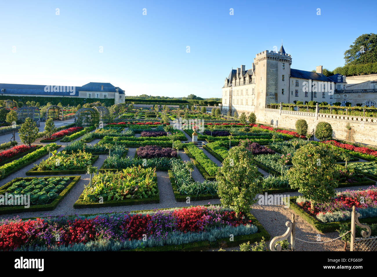 Francia, i giardini del castello di Villandry, orto trattati come un 'Jardin à la française ". Foto Stock