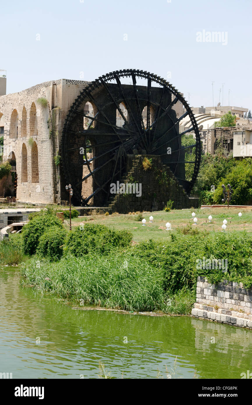 Hama. La Siria. Vista di un enorme ruota di acqua di legno sulle rive del fiume Oronte. Ci sono diciassette waterwheels in legno Foto Stock