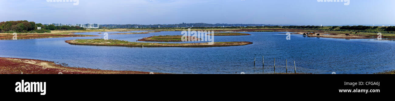 Immagini di Inghilterra Foto Stock