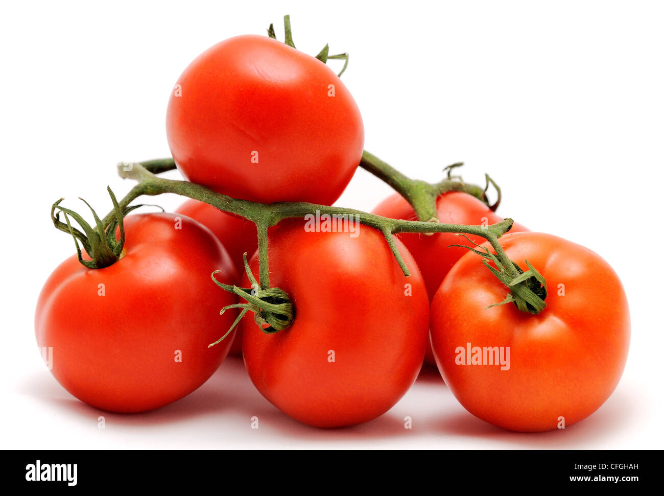 Mazzetto di freschi pomodori rossi, posto su uno sfondo bianco. Foto Stock