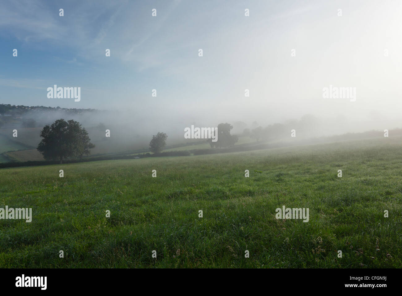 Nebbia in rotolamento sulla Polden Hills. Somerset. In Inghilterra. Regno Unito. Foto Stock
