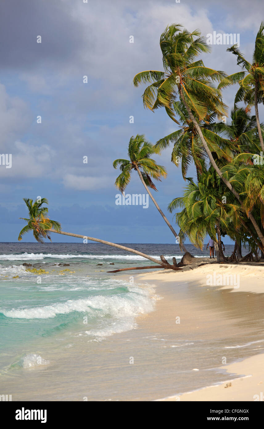 Le palme sulla spiaggia, Filitheyo Island, Maldive Foto Stock