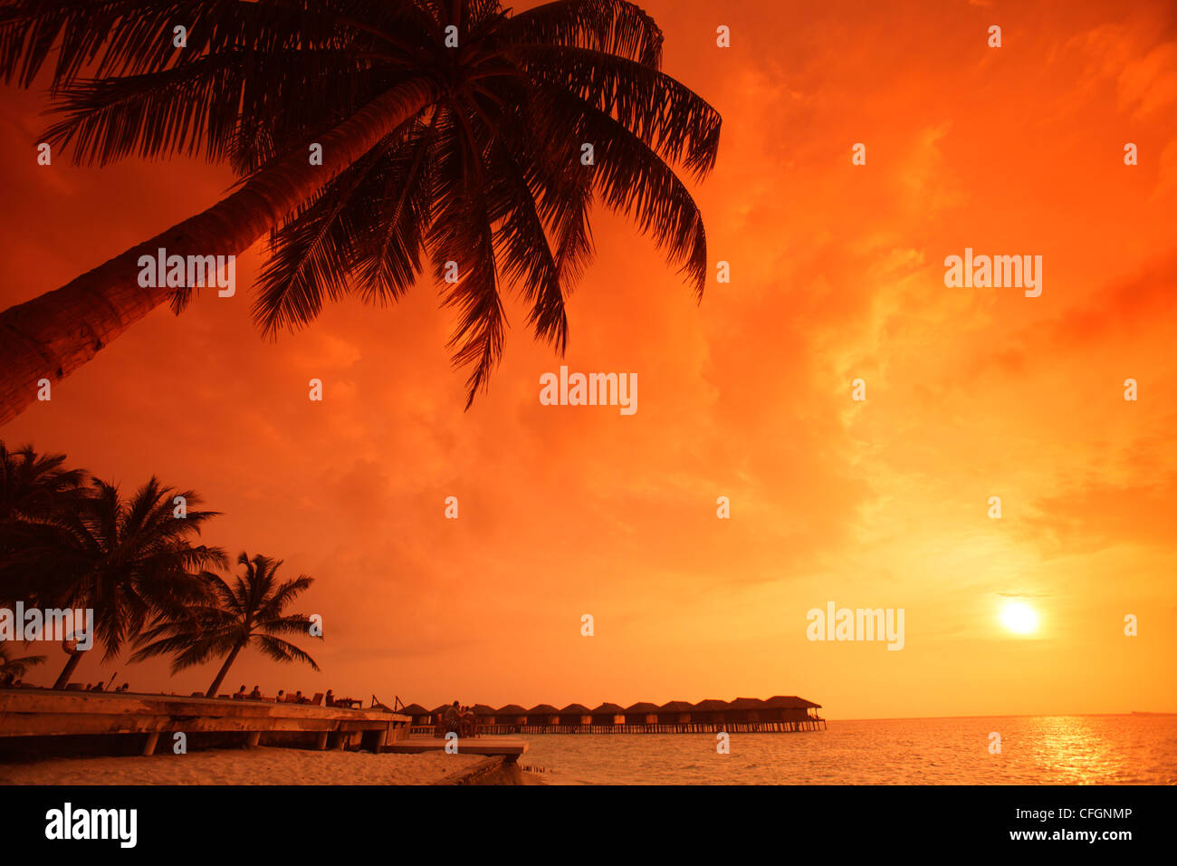 Le Palme al tramonto a Filitheyo Island, Maldive Foto Stock