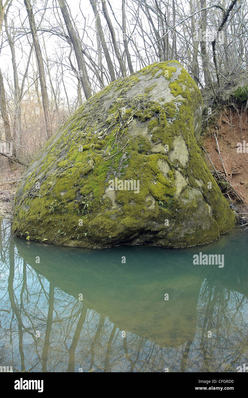 Antica mossy grande roccia in una foresta magica Foto Stock