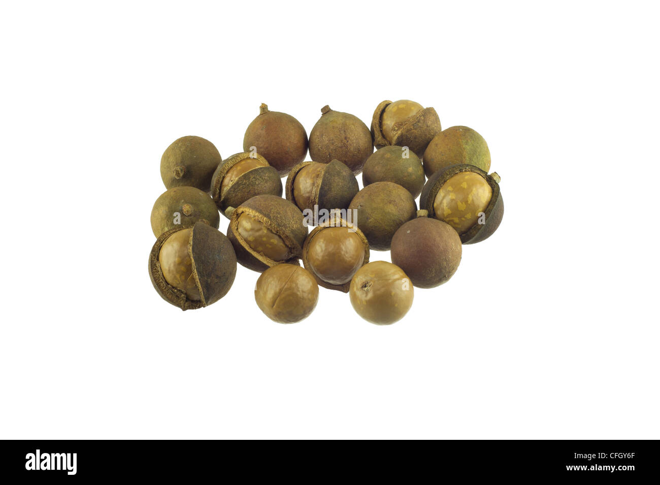 Noce di macadamia Foto Stock