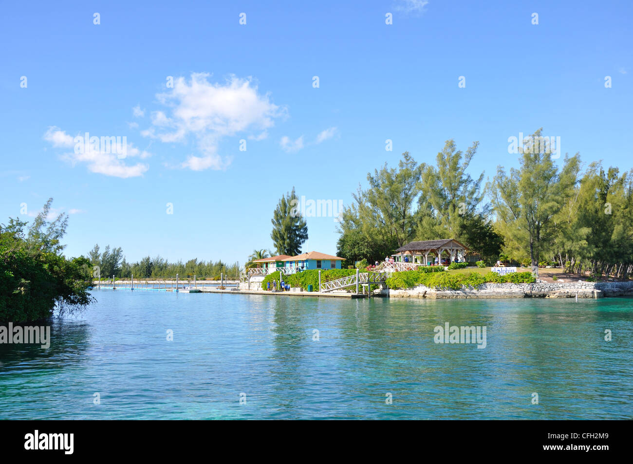 UNEXSO Delfinario di Freeport, Bahamas Foto Stock