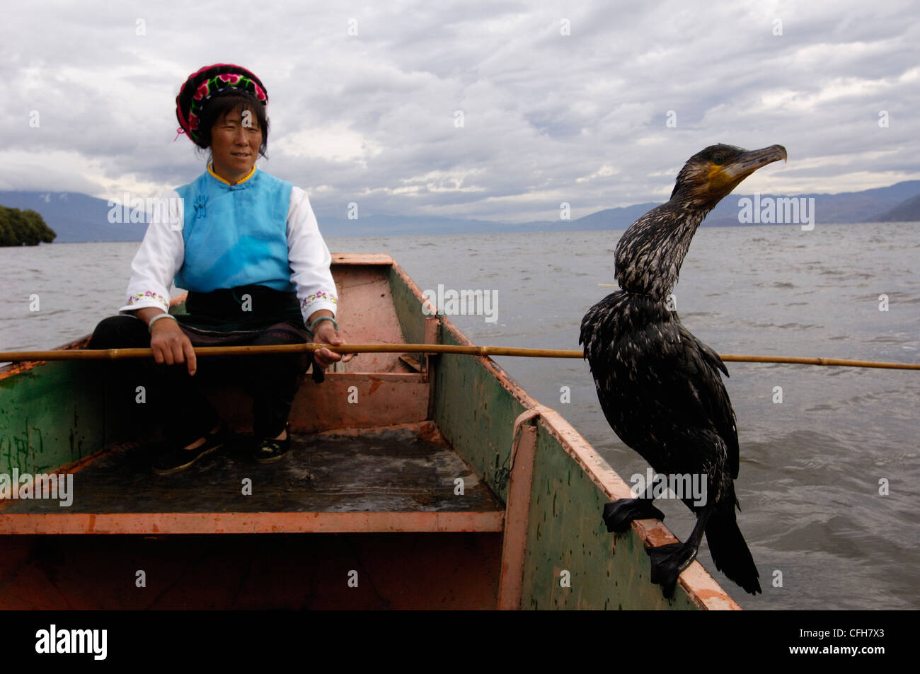 Bai cormorano pescatore sul Lago Erhai, Dali nella provincia dello Yunnan in Cina Foto Stock