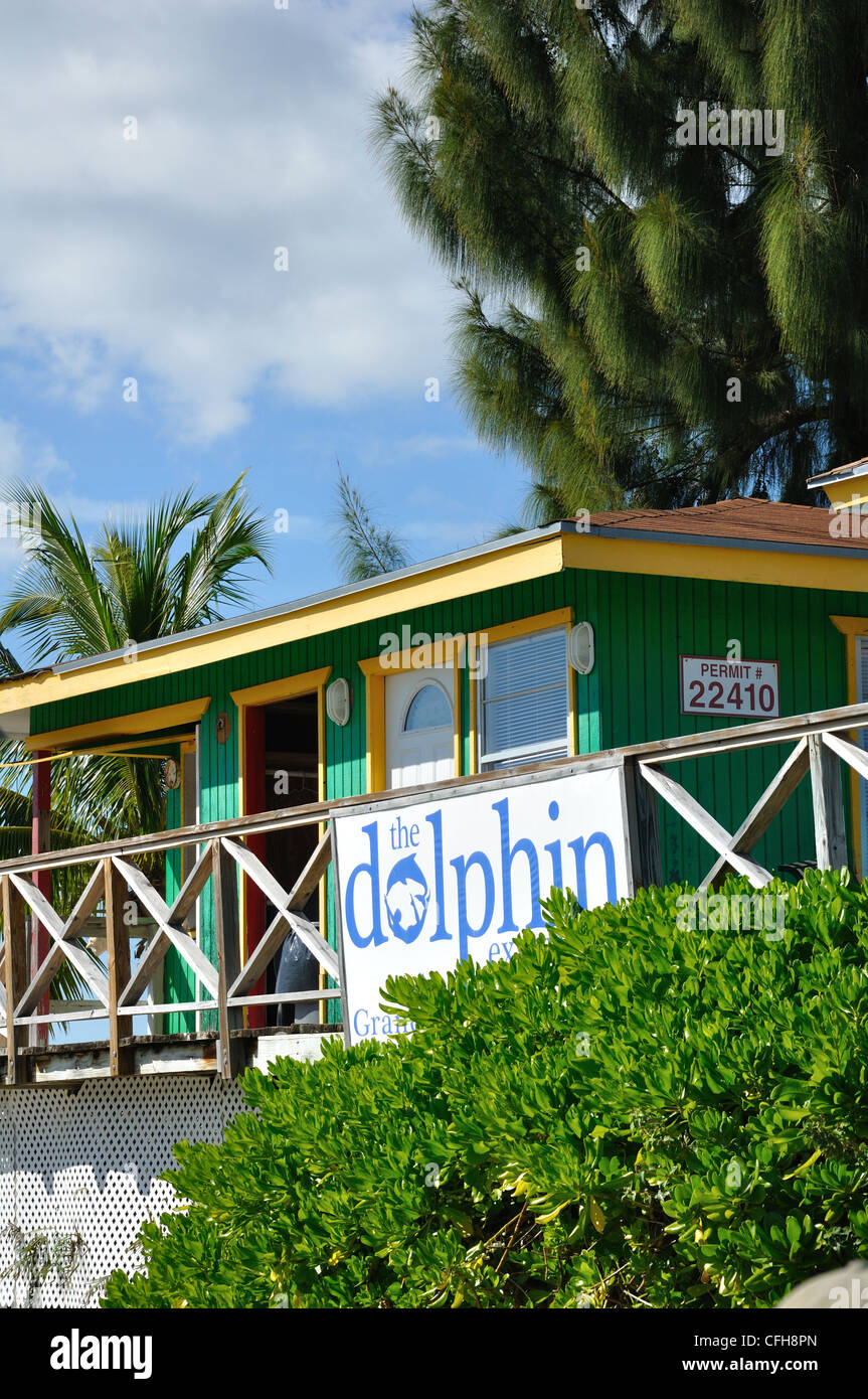 UNEXSO Delfinario di Freeport, Bahamas Foto Stock