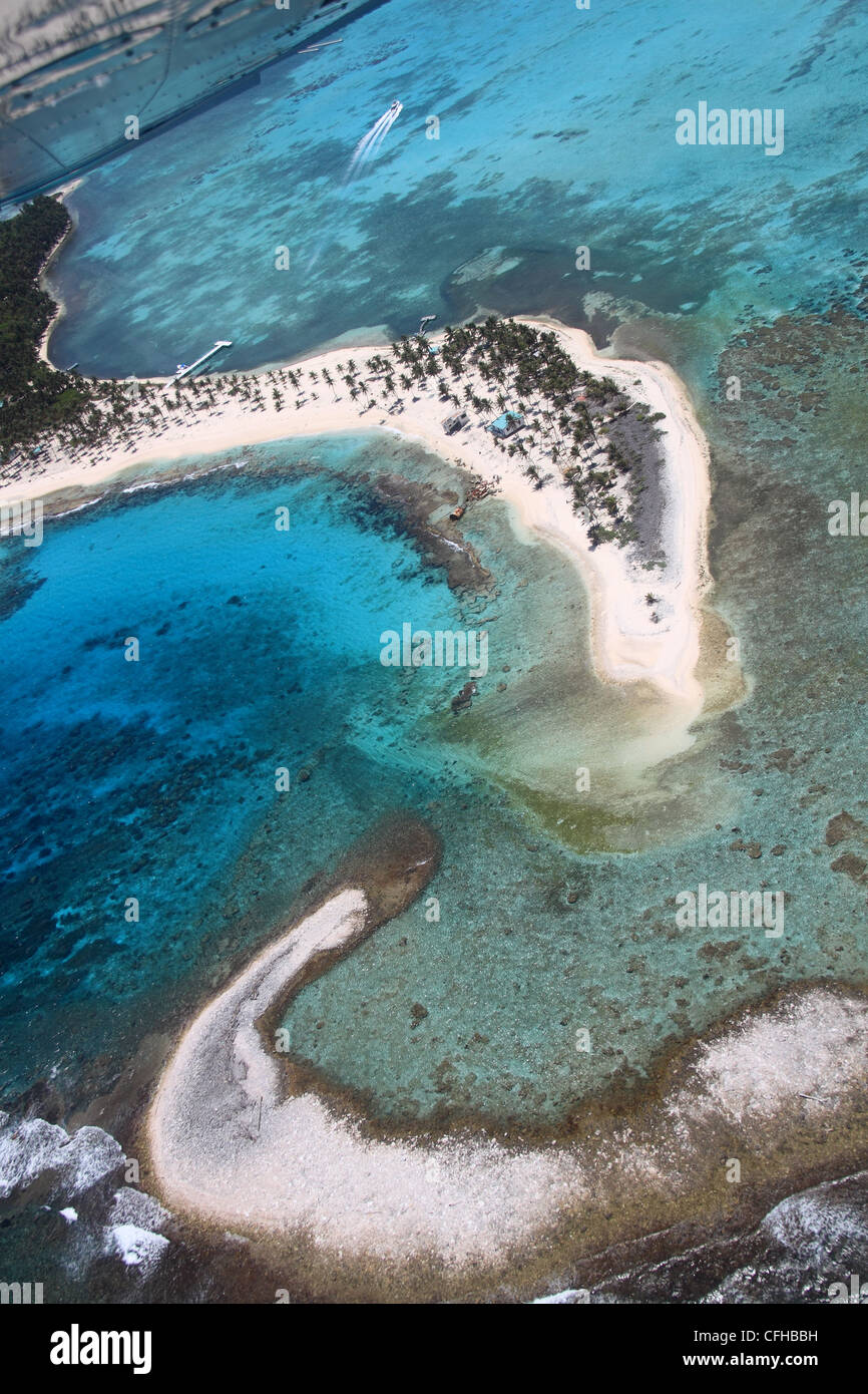 Half Moon Caye Monumento Naturale, Lighthouse Reef, il Belize Barrier Reef, Belize, dei Caraibi e America centrale Foto Stock