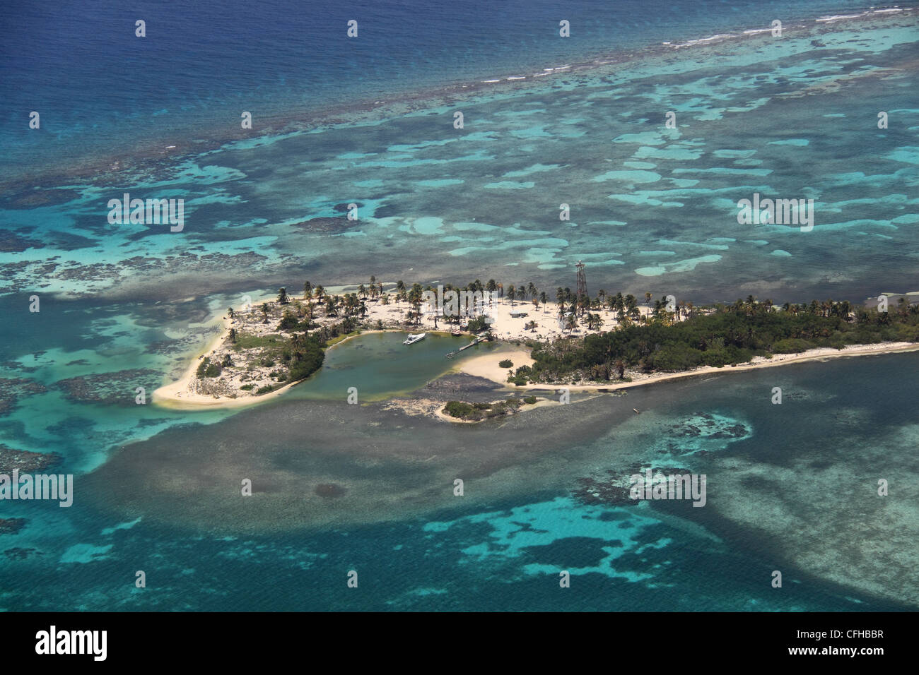 Sandbore Caye, Lighthouse Reef, il Belize Barrier Reef, Belize, dei Caraibi e America centrale Foto Stock