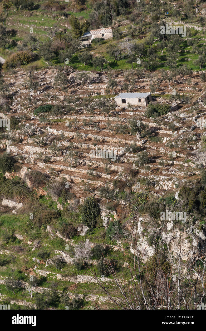 Arare i campi di montagna pronto alle sementi in livelli di scala in Grecia Foto Stock