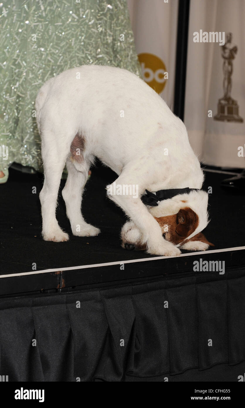UGGIE Canine star del film l'artista a Oscar nel febbraio 2012. Foto di Jeffrey Mayer Foto Stock