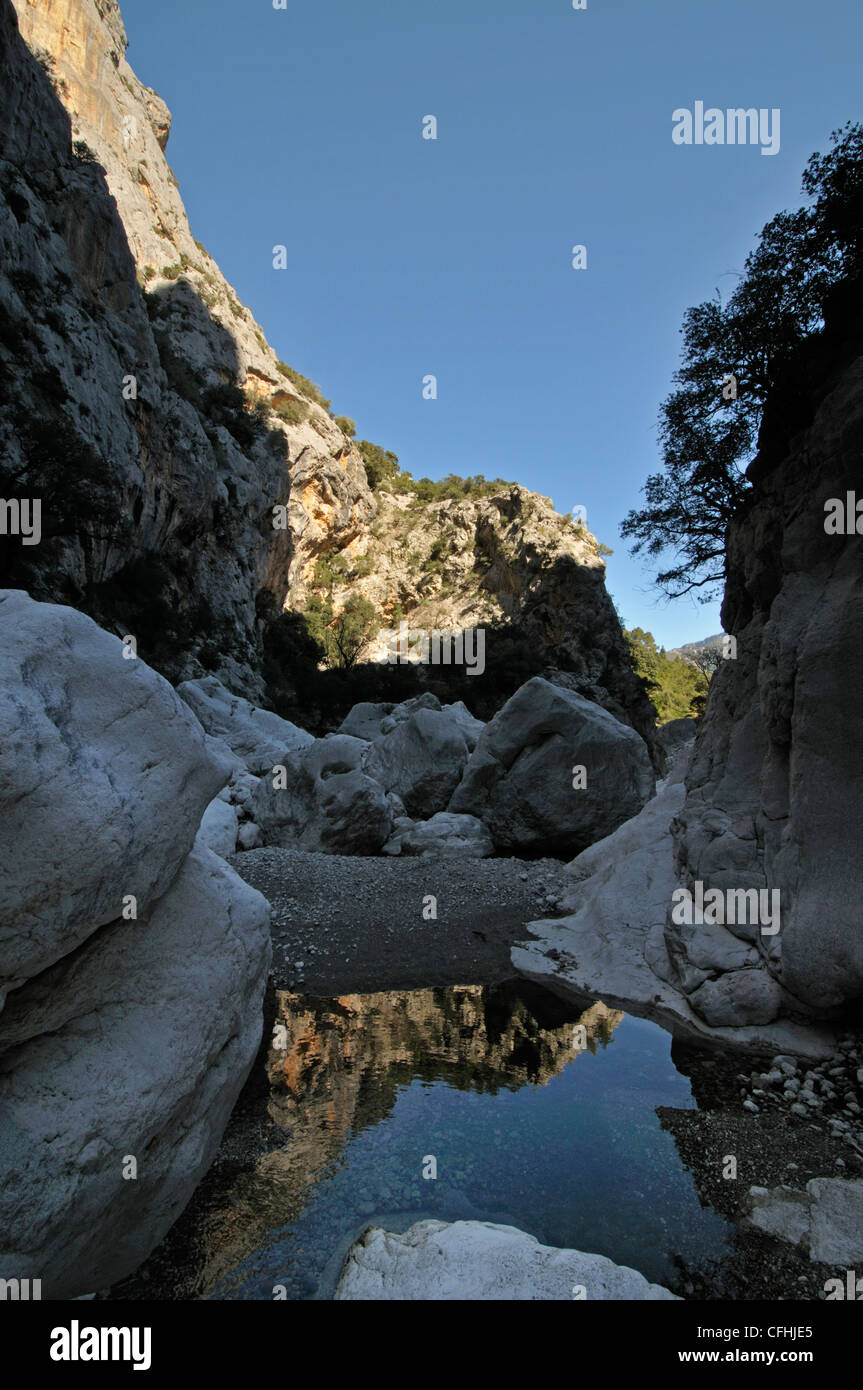 Pozza di acqua sorgiva all'interno del canyon di Gorropu,Dorgali,Supramonte, Sardegna Foto Stock