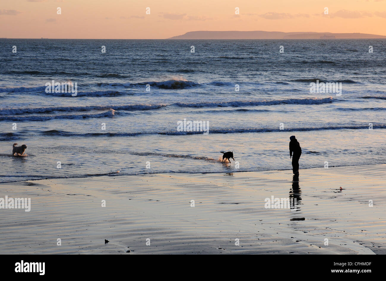 Donna che chiama cane fuori del mare sulla spiaggia al tramonto. Bracklesham Bay. Isola di Wight al di là. Foto Stock