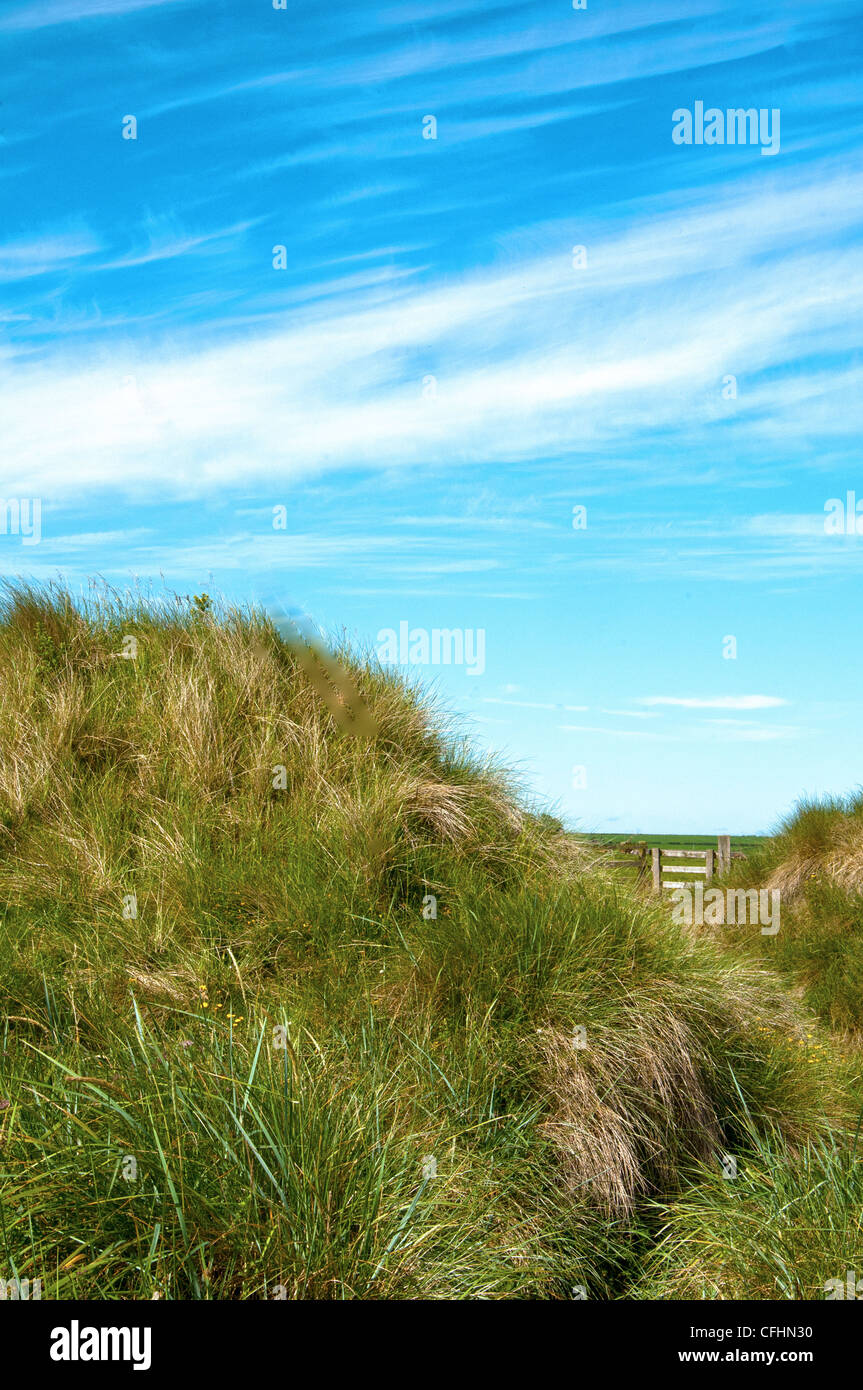 Northumberland dune dietro bamburgh beach Foto Stock