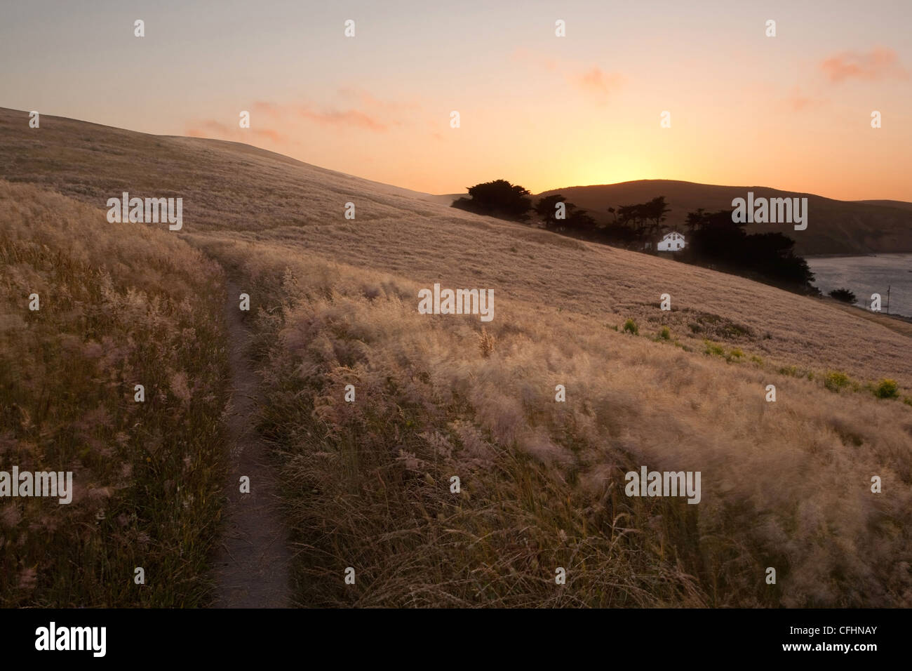 Point Reyes National Seashore campi su una tranquilla serata Foto Stock