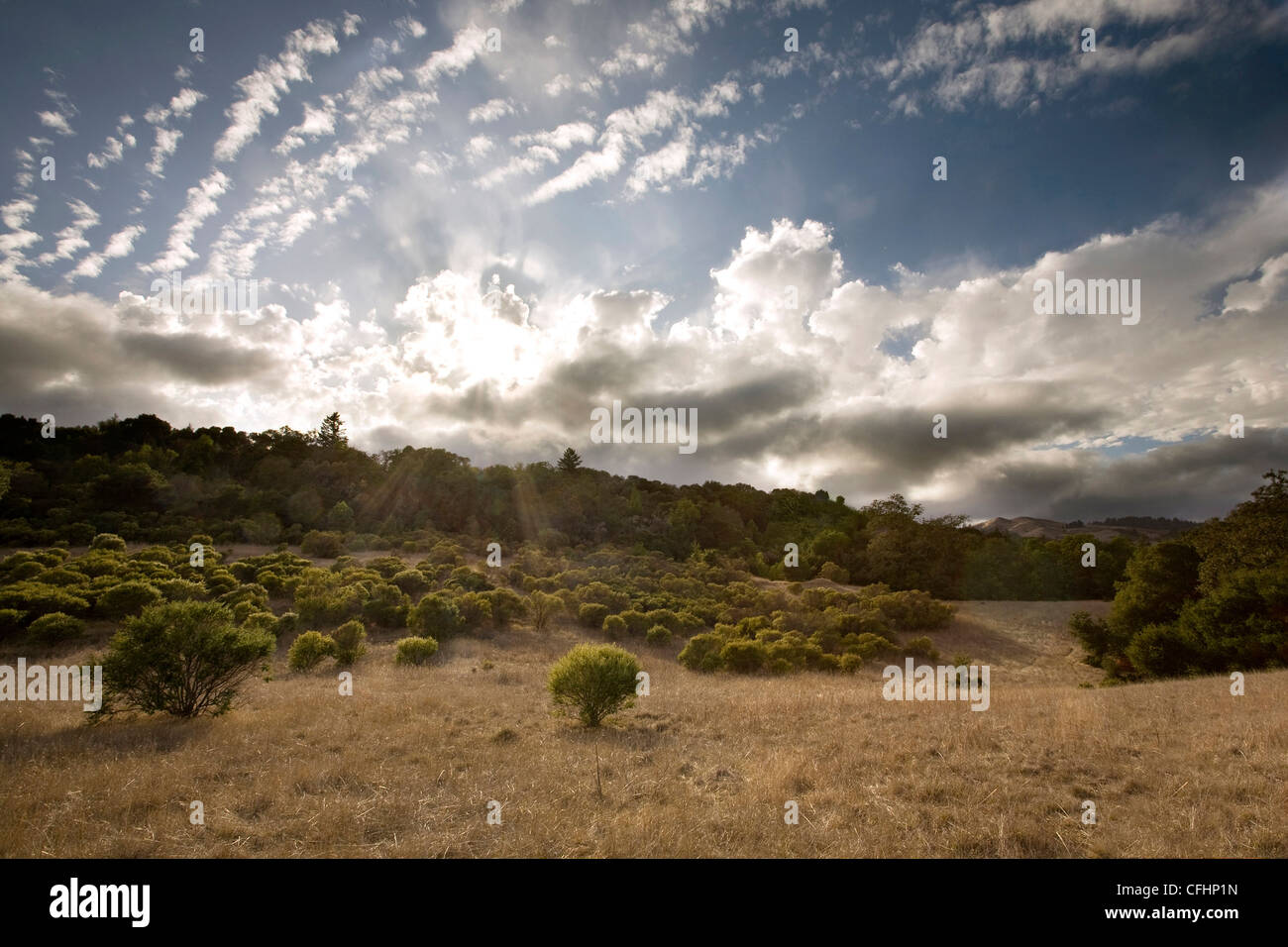 California centrale chaparral pascoli illuminati dal tramonto, storm in background Foto Stock