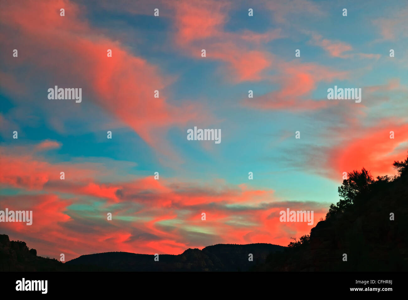 Sunset, Cattedrale Rock, Red Red Loop Road, il Red Rock State Park, vicino a Sedona, in Arizona, USA, America del Nord. Foto Stock