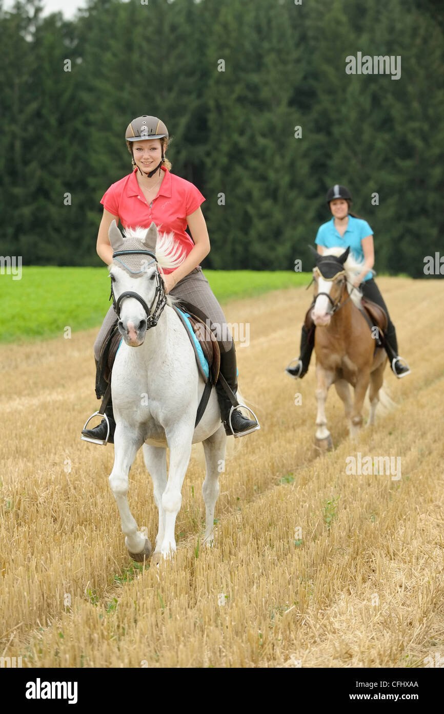 Due giovani pilota sul suo pony al galoppo in un campo di stoppie Foto Stock