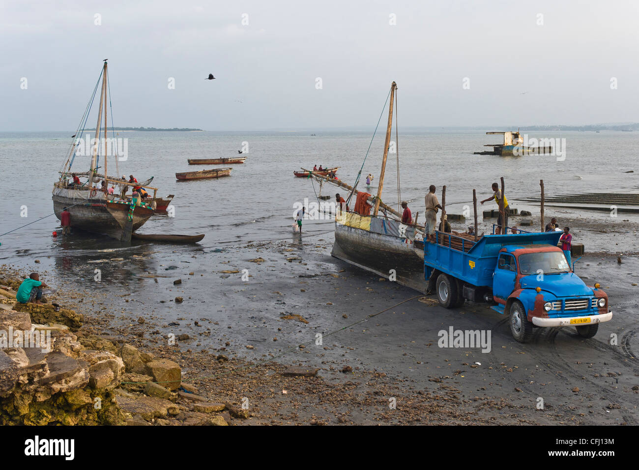 Raccolta di poli di mangrovie spediti con Dhows di Stone Town Zanzibar Tanzania Foto Stock