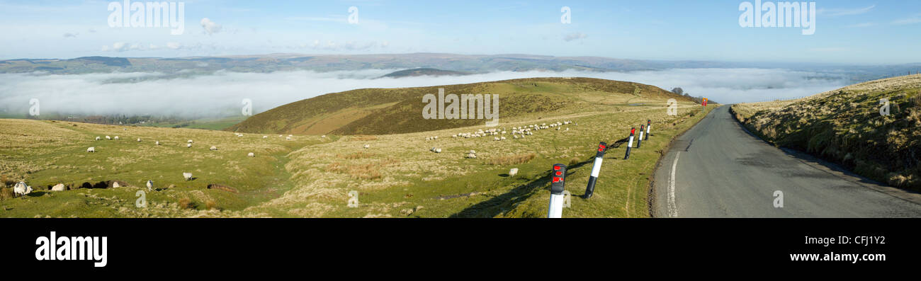 Panorama strada stretta colline Welsh nebbia di mattina, Mynydd Epynt. Foto Stock