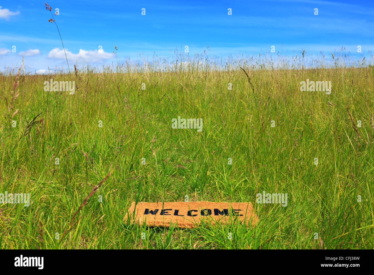 Foto di uno zerbino di benvenuto in un prato di erba in una luminosa giornata di sole con cielo azzurro e sole. Foto Stock